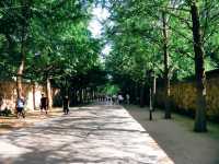 圓明園：曾經最美麗的萬園之園