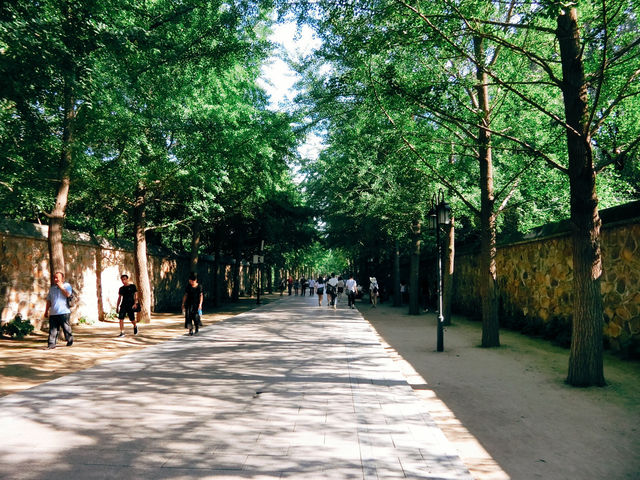 圓明園：曾經最美麗的萬園之園