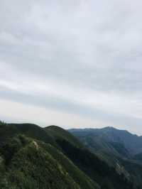 《忘憂森林》 - 沉浸在靜謐的山林之中