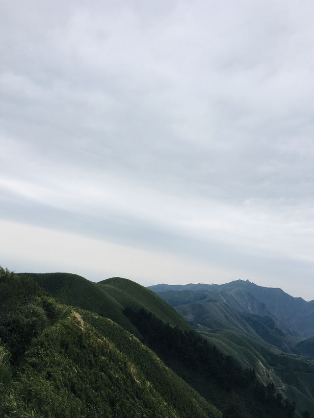 《忘憂森林》 - 沉浸在靜謐的山林之中