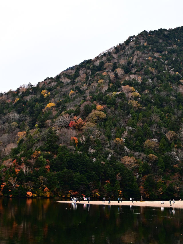 【日光】湖畔で眺める紅葉景色🍁