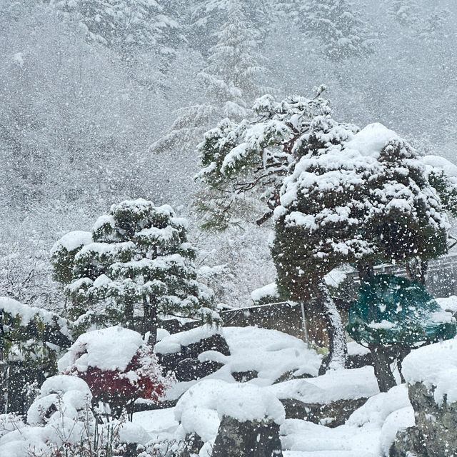 北海道豐平峽♨️雪中泡湯賞楓