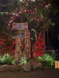 【バンクーバー🇨🇦】クリスマスイルミネーションを楽しもう🎅