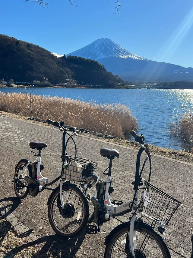 ☀️ 1 day trip ☁️ Kawaguchiko 🗻🚲💙