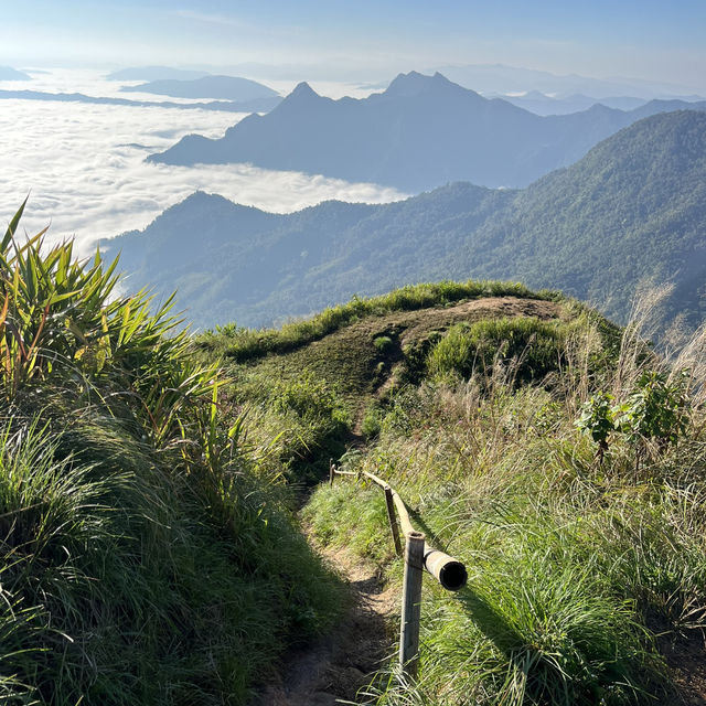 มาแอ่วเหนือที่ ภูชี้ฟ้า ⛅️⛰️ จังหวัดเชียงรายกันจ้า