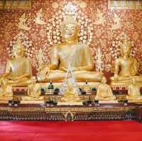 วัดป่าพุทธคยา