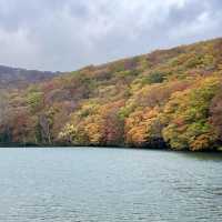 【十和田】必見！感動の紅葉🍁圧倒される絶景✨