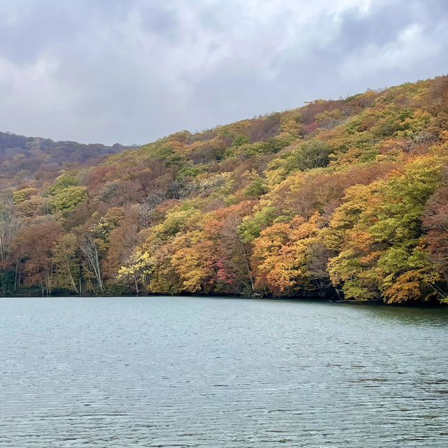 【十和田】必見！感動の紅葉🍁圧倒される絶景✨
