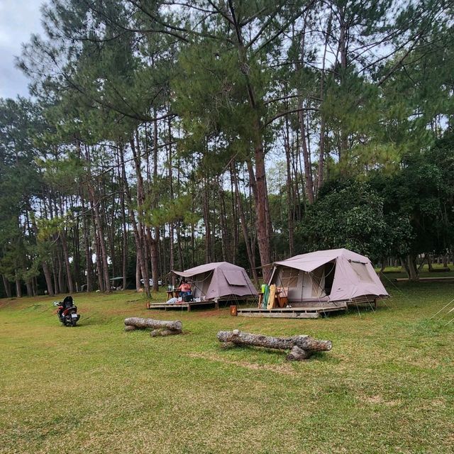 ลานกางเต็น🏕  อช.ทุ่งแสลงหลวง