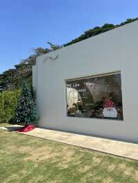 🎄 Like a mountain ~ คาเฟ่คริสต์มาสเขาใหญ่🎅🏻