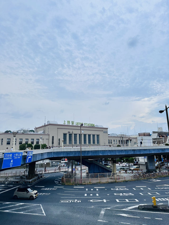 🇯🇵 東京成日機場出發 超美性價比酒店🗼