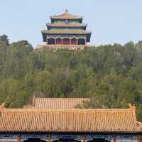 A Walk Through Imperial Majesty: The Palace Museum Experience