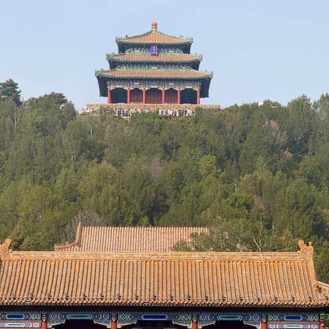 A Walk Through Imperial Majesty: The Palace Museum Experience