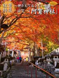 【ここ行って】お守り作り体験も⁉️パワーみなぎる天空の紅葉絶景スポット🍁