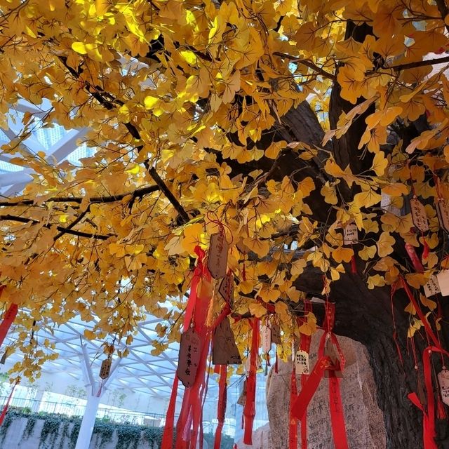 The Hill Changchun ที่นี่มีภูเขา 這有山
