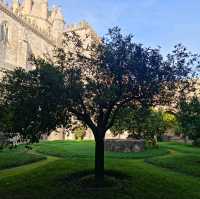 Exploring Timeless Majesty: A Journey to Evora, Portugal