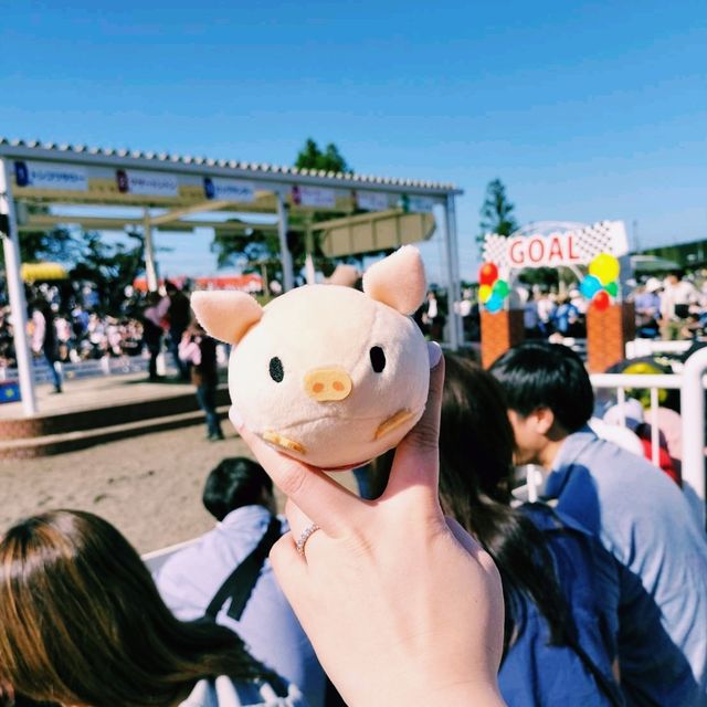 マザー牧場