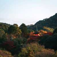 วัดคิโยมิสึเดระ (Kiyomizu-dera Temple)