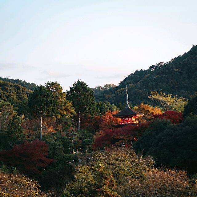 วัดคิโยมิสึเดระ (Kiyomizu-dera Temple)