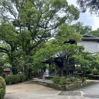 福岡太宰府、鬼滅之刃神社⛩️（寶滿宮竈門神社）
