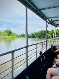 ［紐奧良旅遊］New Orleans Swamp Tour-尋找野生鱷魚🐊