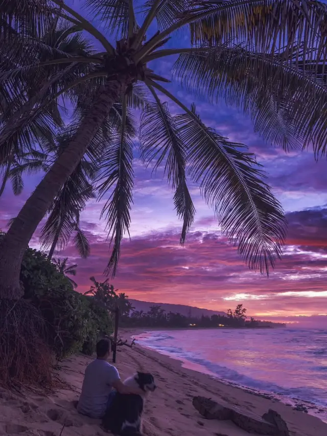 5 Reasons You Need to Visit Hawaii (Straight from Santa’s List!)🎅