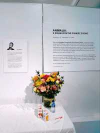 Sue Olivier's Solo Exhibition at Visual Art Centre