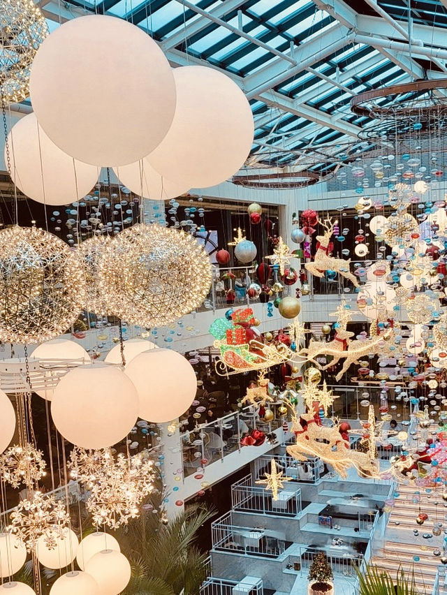 Forest Outings Songdo Branch 🌟🎄