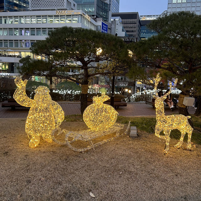 【韓国：明洞】明洞聖堂のクリスマス🎄