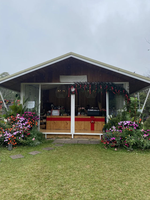 🎄22 Aquarius Glamping Cafe คาเฟ่บนดอยอินทนนท์