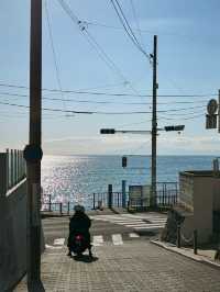 江之島超美餐廳推薦 避開網紅打卡景點