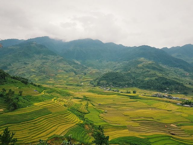 Review Mu Cang Chai and unforgettable skydiving experience