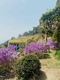 남해에서 발견한 보석같은 정원, ‘섬이정원’ 🌷💕