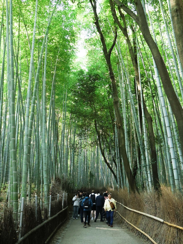 京都嵐山一日遊⛰️意想不到的美景就在這裡