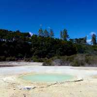 Stepping into Another World: My Visit to Rotorua’s Volcanic Wonderland!