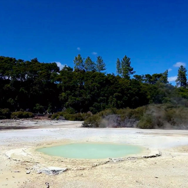 Stepping into Another World: My Visit to Rotorua’s Volcanic Wonderland!