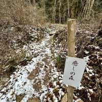🇯🇵漫步有馬溫泉療癒之森🌲