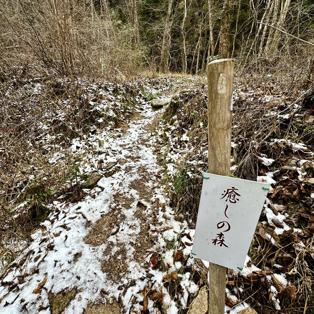 🇯🇵漫步有馬溫泉療癒之森🌲