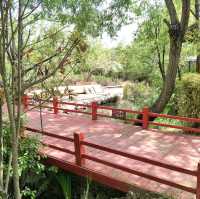 Kayaking Bliss: A Serene Adventure at Erhai Lake