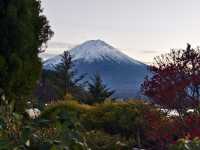 同時欣賞壯觀富士山及歐洲貴族喜愛的音樂盒