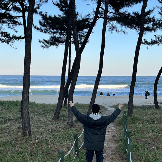 강릉 겨울 낭만 제대로 느낄 수 있는 조용한 해변 추천 (사근진해변, 순개울해변)