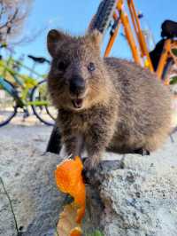 Exploring Perth: Stunning Views, Vibrant Culture, and Coastal Beauty