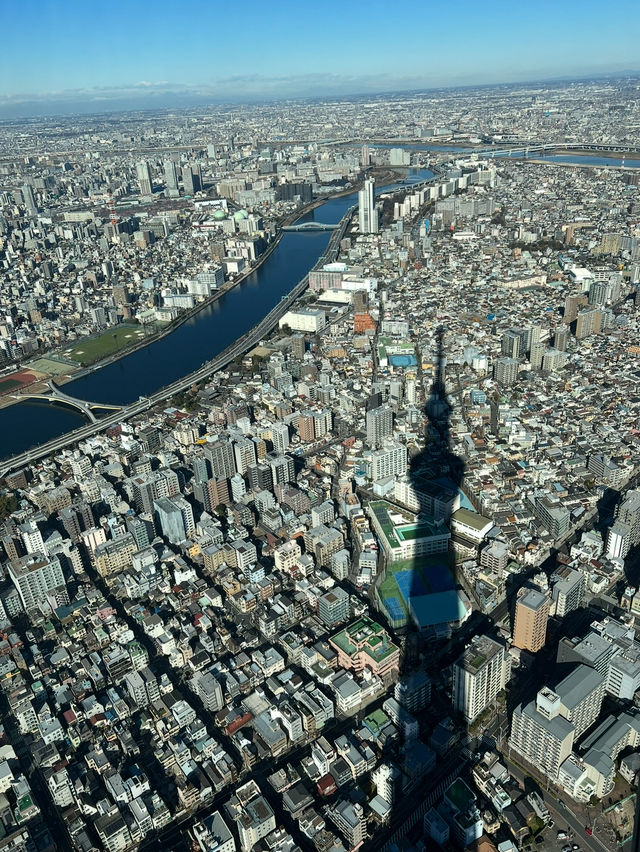 Tokyo Sky Tree 🏙️ จุดชมวิวโตเกียว เห็นฟูจิซังด้วย
