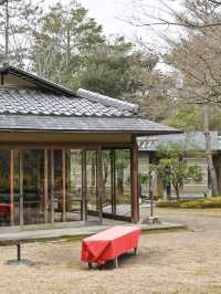 【京都/高台寺】竹林の穴場スポット！！