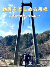 【栃木×鬼怒川】絶景をたのしめる吊橋  揺れがスリル満点！