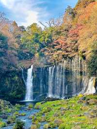 【静岡県】大迫力‼️数百の絹糸のような滝✨