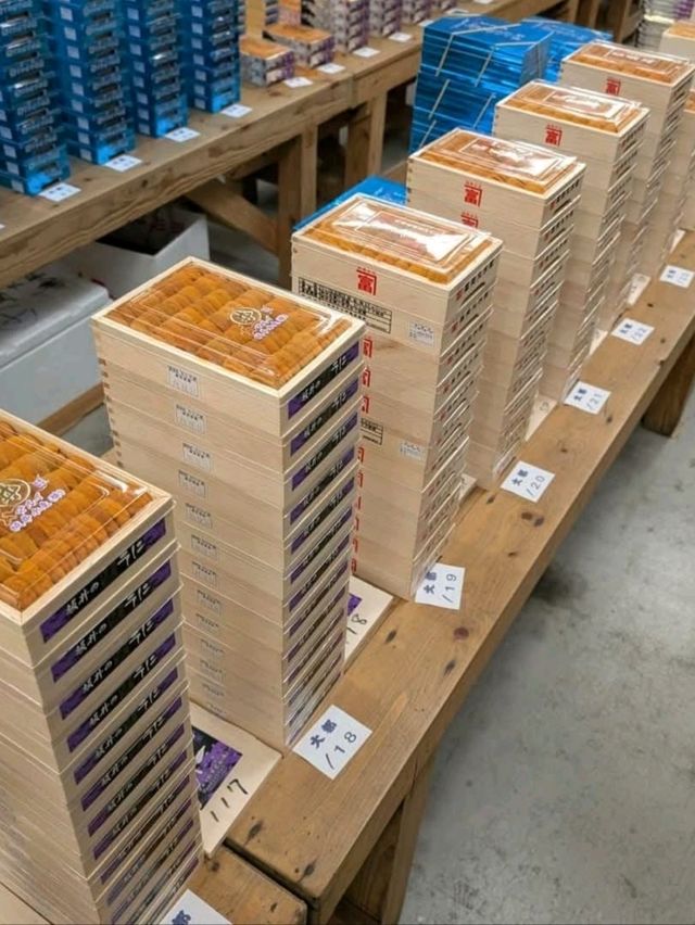 晨運式半日行程～豐洲市場