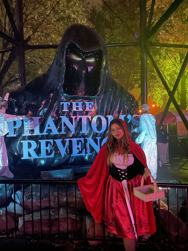 A fun day at Kennywood Amusement Park! 