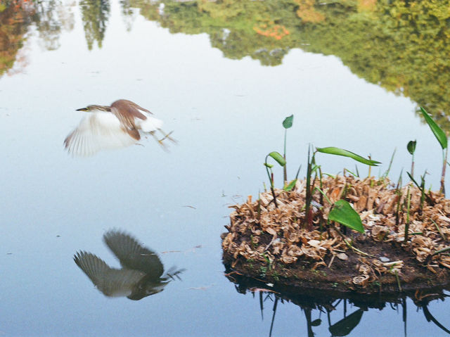 Xianhu Botanical Park — Fairytale Views at the Fairy Lake
