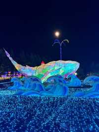 ✨🌈 伊豆ぐらんぱる公園「グランイルミ」日本屈指の体験型イルミネーション！ 🌈✨
